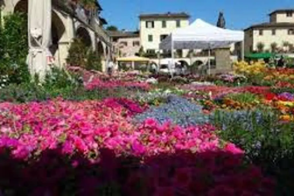 Happy Florence Matteotti Square Greve Greve in Chianti 0*,  Ιταλία